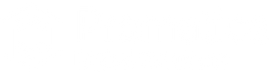 Promatica digital solutions white logo